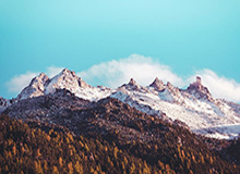 AG体育app下载-15日NBA季前赛战报：锡安莺歌合砍48分 保罗首秀